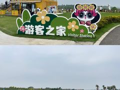 -空港花田景区