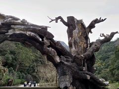 -龙湾潭国家森林公园