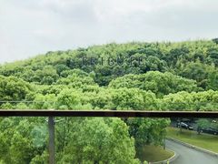 -上海佘山世茂艾美酒店