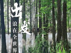 -东湖落雁景区
