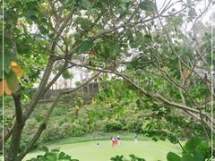 -观澜湖高尔夫球会
