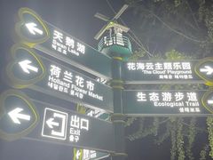 -荷兰花海