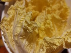 娃娃菜-云中鱼蒸汽石锅鱼(浦东食品城店)