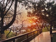 -八大关景区