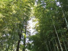 -同里国家湿地公园