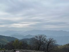 -永州阳明山国家森林公园