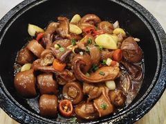 -洞庭家宴·头牌甲鱼(广渠门店)