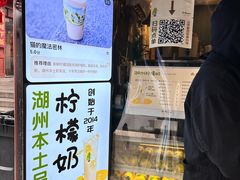-猫的魔法密林(衣裳街店)