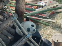 -大连森林动物园