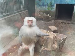-无锡动物园·太湖欢乐园