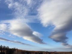 -塞罕坝国家级自然保护区