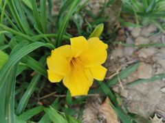 -交通银行(北京天坛支行)