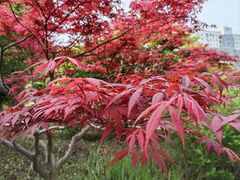 -武汉园博园(武汉自然博物馆)