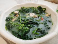 上汤桑叶-姚林轩