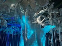 -海合安武汉极地海洋公园