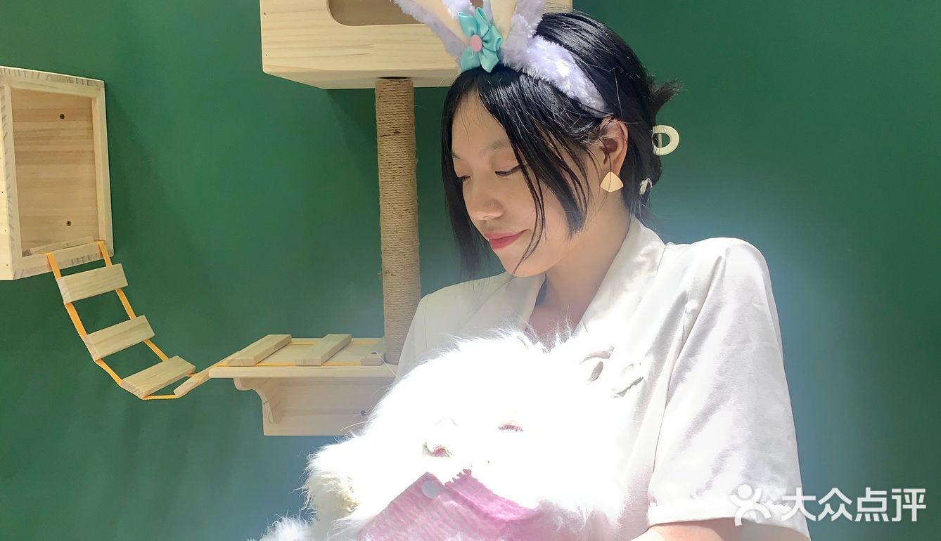 合肥探店｜安哥拉巨兔体验馆