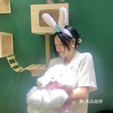 合肥探店｜安哥拉巨兔体验馆