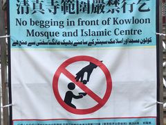 -九龙公园