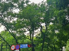 -西湖文化广场