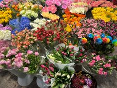 -双季花艺园艺市场(浦东店)