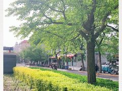 -和平门菜市场