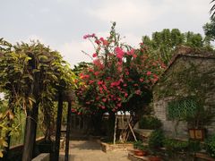 -东莞市可园博物馆