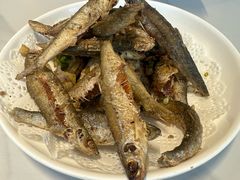 -全乐鱼馆·淳牌有机鱼直营店