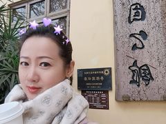 -李子坝梁山鸡(李子坝大鸡哥店)