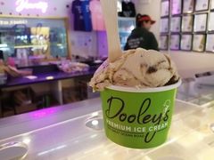 -Dooley's Premium Ice Cream