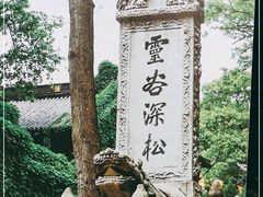 -灵谷景区