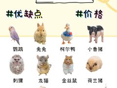 -翊宠yipet猫狗购宠庄园犬舍•猫舍