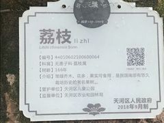 -天河儿童公园