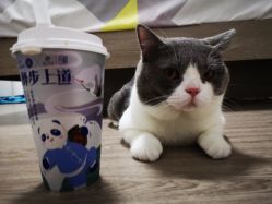 -侨治发型