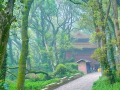 -普陀山风景名胜区-法雨禅寺