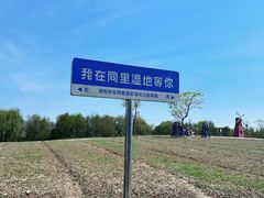-同里国家湿地公园