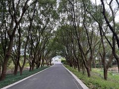 -同里国家湿地公园