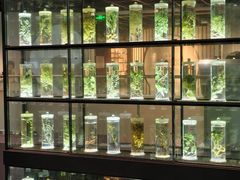 -广东中医药博物馆