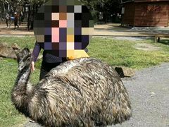 -可伦宾野生动物保护区
