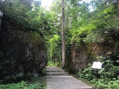 -汤旺河林海奇石景区