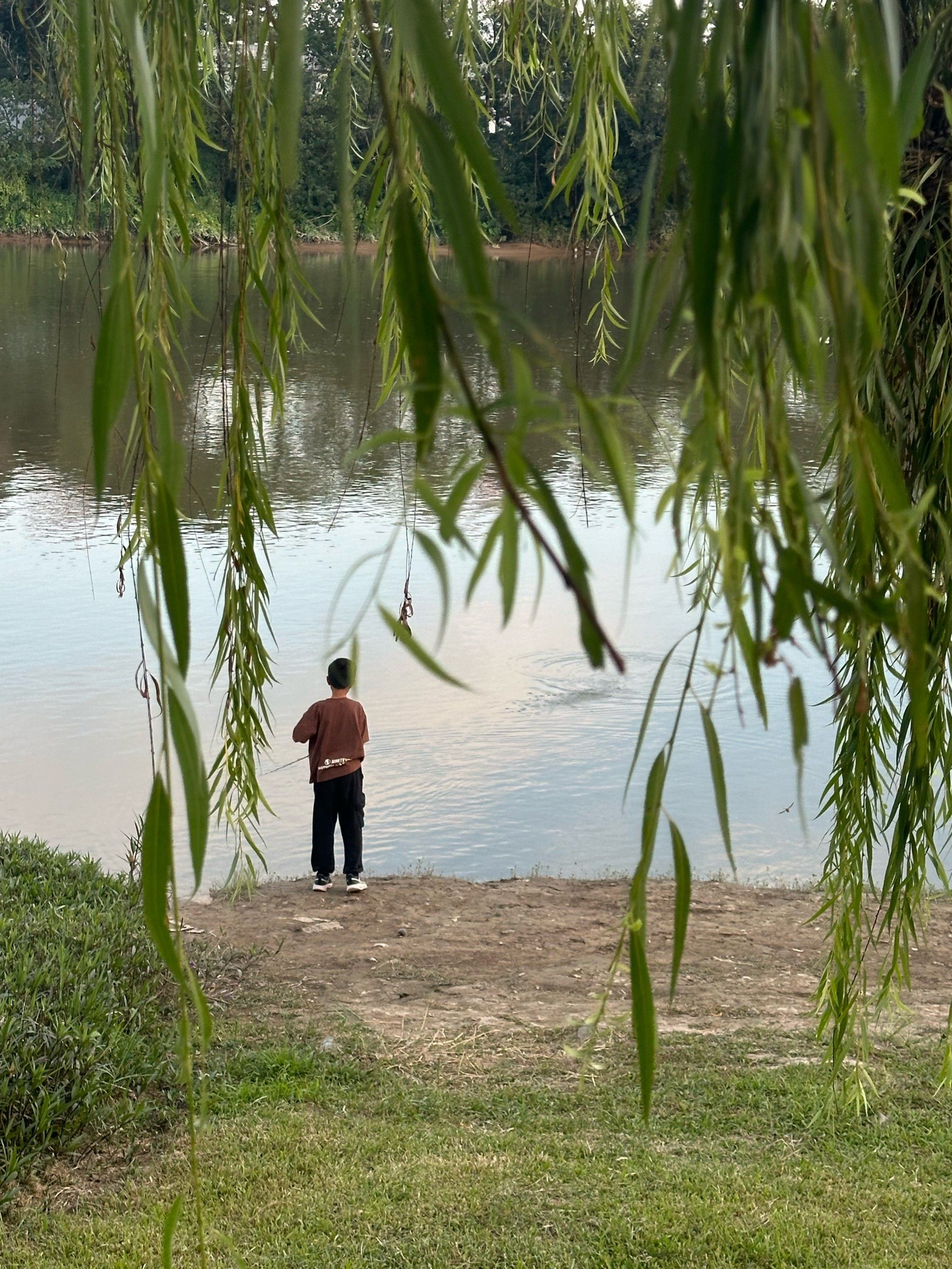 三水宝藏露营地
据说没多少人知道
能钓鱼 露营 骑行 
周末遛娃
