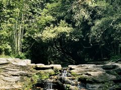 -大屏嶂森林公园