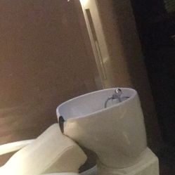 -史云逊养发护发