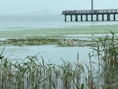 -苏州东太湖生态园