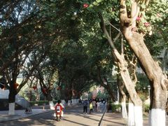 -厦门大学(思明校区)