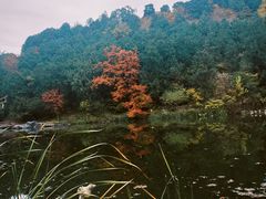 -香山公园