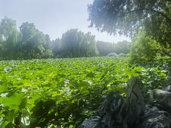 -莲池书院博物馆