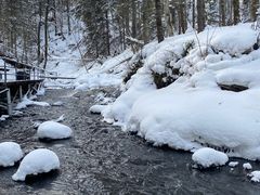 -峡谷浮石林景区