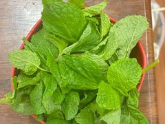 薄荷-攀枝花·任德琼·盐边羊肉米线