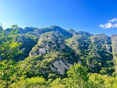 -大岭沟猕猴桃谷风景区