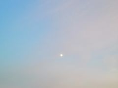 -东河市场